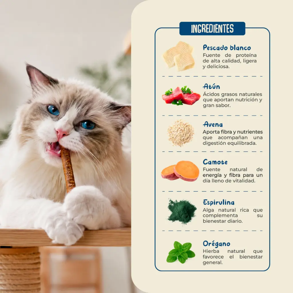 03 Ingredientes Pescado.webp