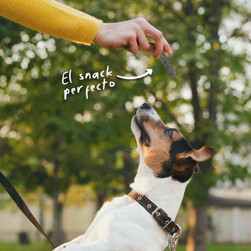 Foto atractiva