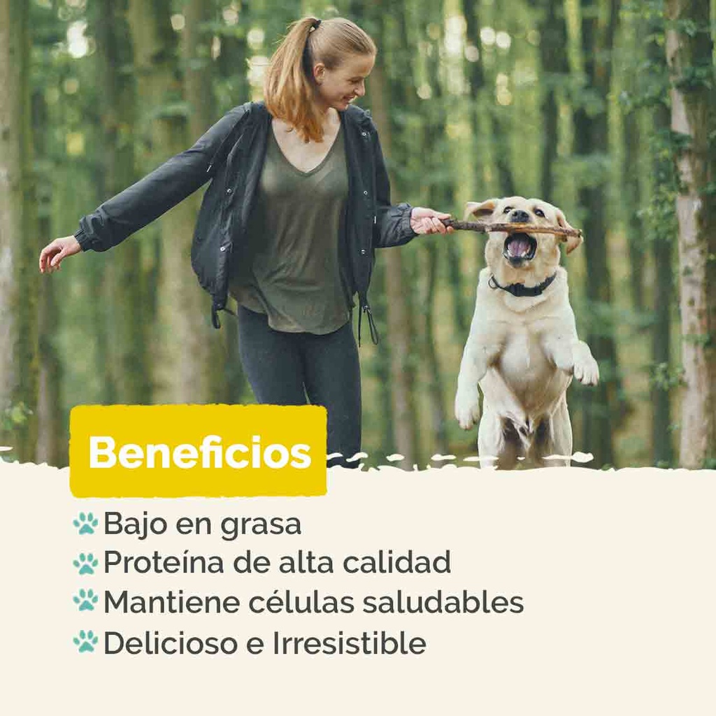 Deshidratado Pechuga de Pollo 70g