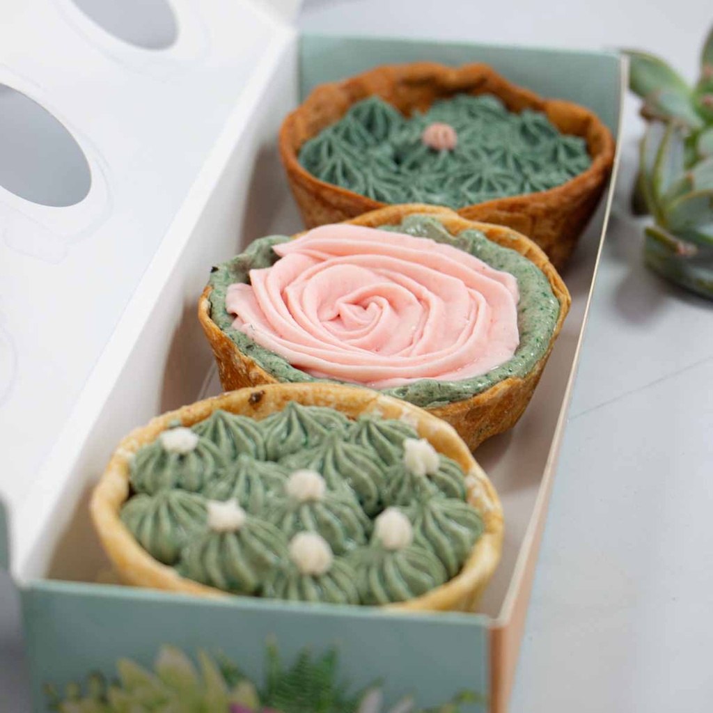 3 Pack Tartaletas Mother's Love
